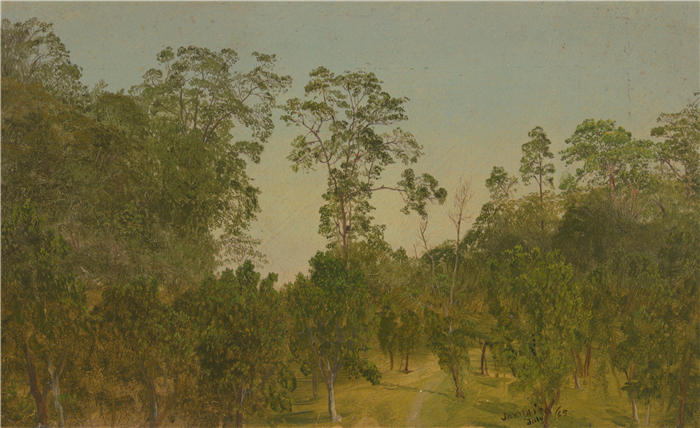 弗雷德里克·埃德温·丘奇(Frederic Edwin Church,美国画家)高清作品-《风景(1865 年 7 月)》