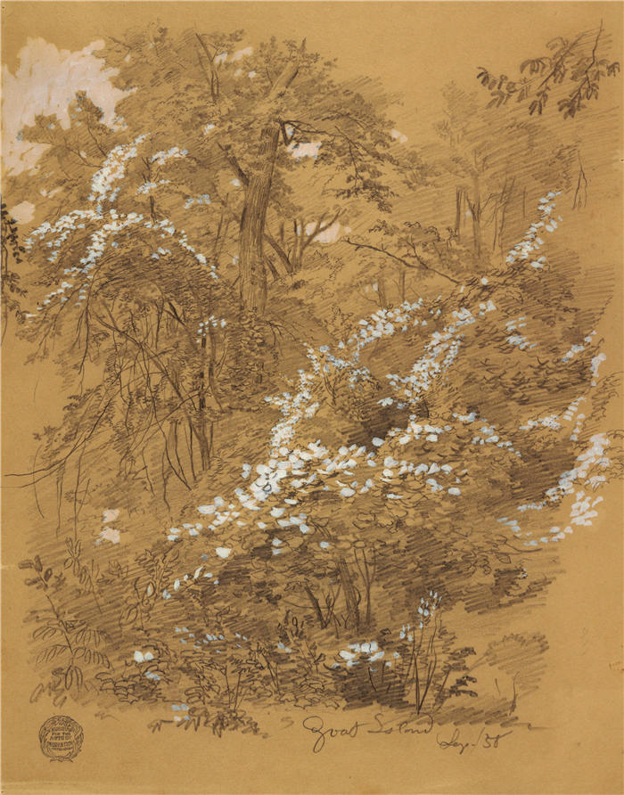 弗雷德里克·埃德温·丘奇(Frederic Edwin Church,美国画家)高清作品-《林地场景,山羊岛,尼亚加拉河,纽约(1858 年)》