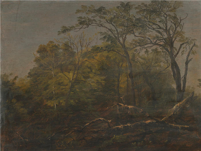 弗雷德里克·埃德温·丘奇(Frederic Edwin Church,美国画家)高清作品-《缅因州森林 (1845–55)》