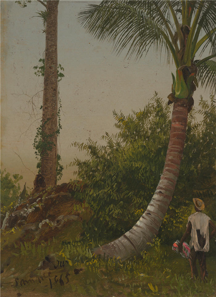 弗雷德里克·埃德温·丘奇（Frederic Edwin Church，美国画家）高清作品-《牙买加的树木，西印度群岛（1865 年）》