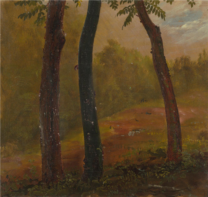 弗雷德里克·埃德温·丘奇（Frederic Edwin Church，美国画家）高清作品-《牙买加林地场景（1865 年）》