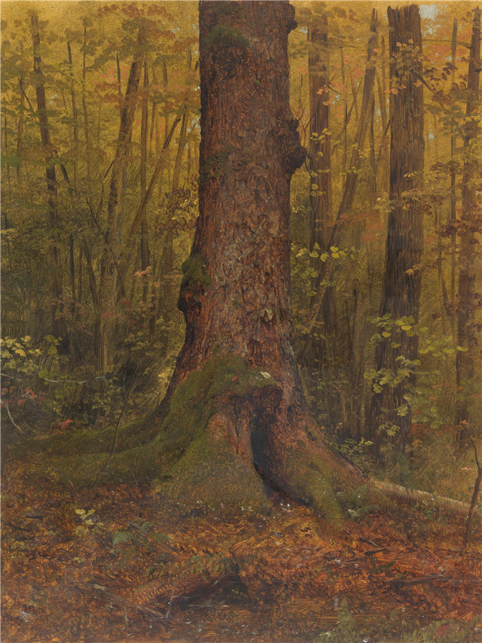 弗雷德里克·埃德温·丘奇(Frederic Edwin Church,美国画家)高清作品-《在树林里,可能是缅因州(1850–60)》