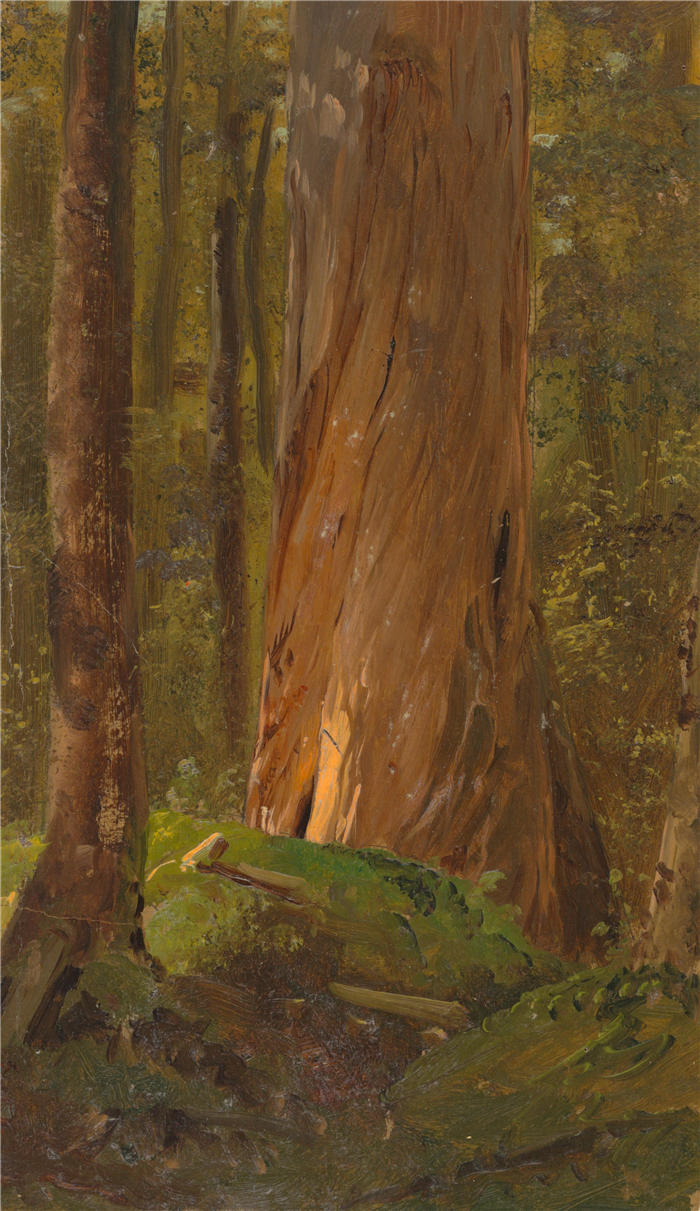 弗雷德里克·埃德温·丘奇(Frederic Edwin Church,美国画家)高清作品-《在缅因州森林学习 (1855–65)》