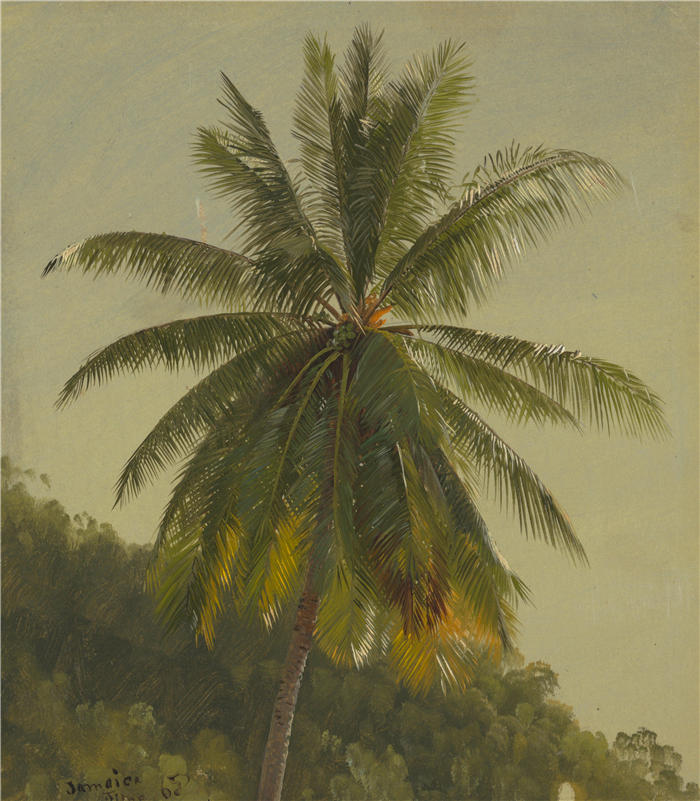 弗雷德里克·埃德温·丘奇（Frederic Edwin Church，美国画家）高清作品-《棕榈树，西印度群岛（1865 年）》