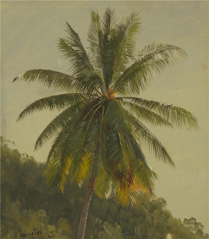弗雷德里克·埃德温·丘奇(Frederic Edwin Church,美国画家)高清作品-《棕榈树,西印度群岛(1865 年)》