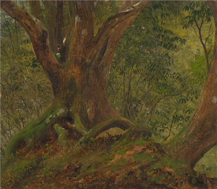 弗雷德里克·埃德温·丘奇（Frederic Edwin Church，美国画家）高清作品-《在树林里，牙买加（1865）》