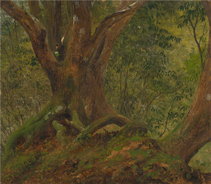 弗雷德里克·埃德温·丘奇(Frederic Edwin Church,美国画家)高清作品-《在树林里,牙买加(1865)》
