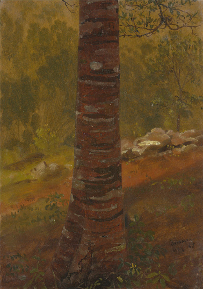 弗雷德里克·埃德温·丘奇（Frederic Edwin Church，美国画家）高清作品-《树干 (1865)》