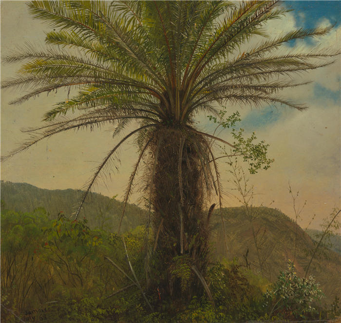 弗雷德里克·埃德温·丘奇（Frederic Edwin Church，美国画家）高清作品-《树蕨，牙买加（1865）》