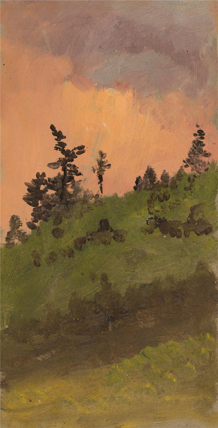 弗雷德里克·埃德温·丘奇（Frederic Edwin Church，美国画家）高清作品-《树林风景（1870）》