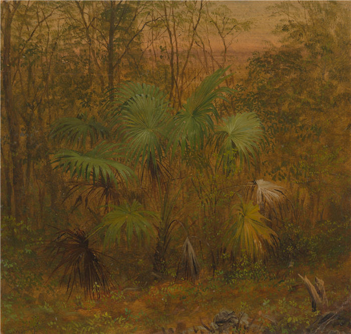 弗雷德里克·埃德温·丘奇（Frederic Edwin Church，美国画家）高清作品-《牙买加茅草棕榈 (1865)》