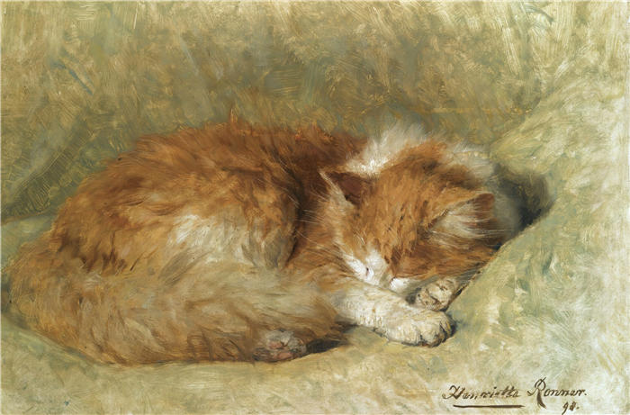 亨利埃特·罗纳-克尼普（Henriëtte Ronner-Knip，荷兰画家）高清作品-《一只睡猫（1898）》