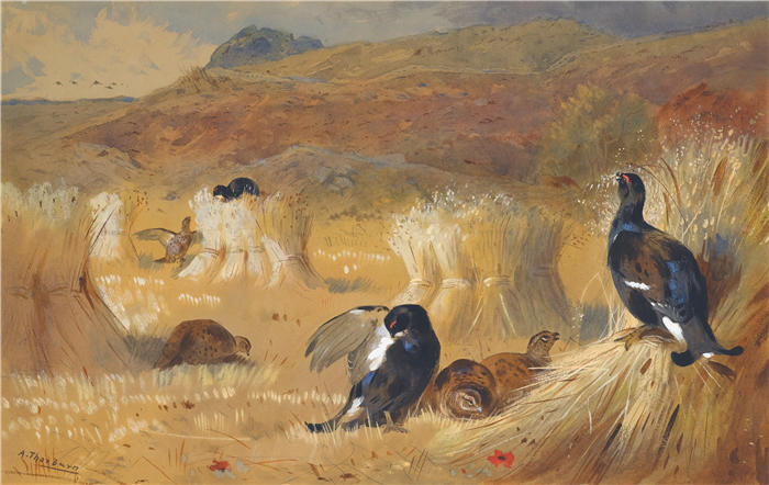阿奇博尔德·索伯恩（Archibald Thorburn，苏格兰画家）高清作品-《布莱克考克在一个领域》