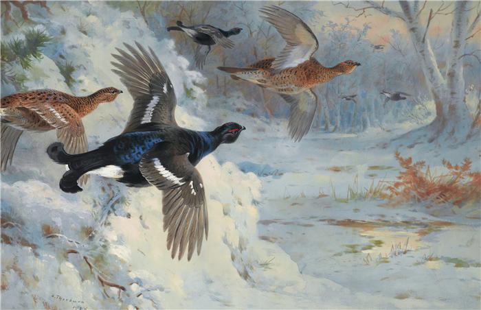 阿奇博尔德·索伯恩（Archibald Thorburn，苏格兰画家）高清作品-《穿越雪域-Blackgame (1926)》