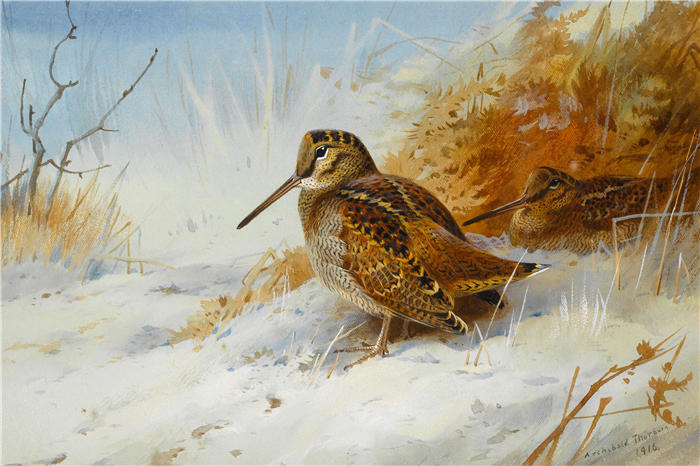 阿奇博尔德·索伯恩(Archibald Thorburn,苏格兰画家)高清作品-《冬季伍德考克 (1916)》