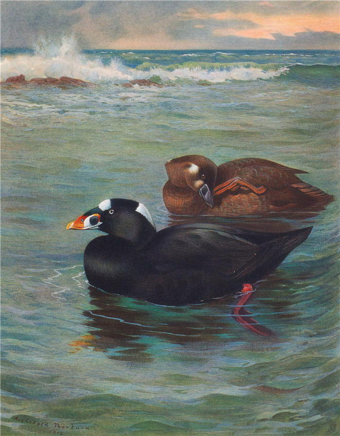 阿奇博尔德·索伯恩（Archibald Thorburn，苏格兰画家）高清作品-《冲浪滑板车 (1913)》