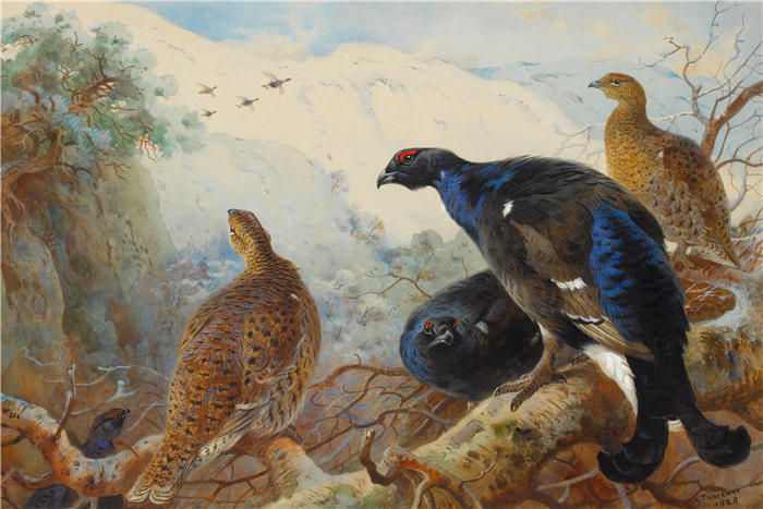 阿奇博尔德·索伯恩(Archibald Thorburn,苏格兰画家)高清作品-《黑游戏 (1928)》