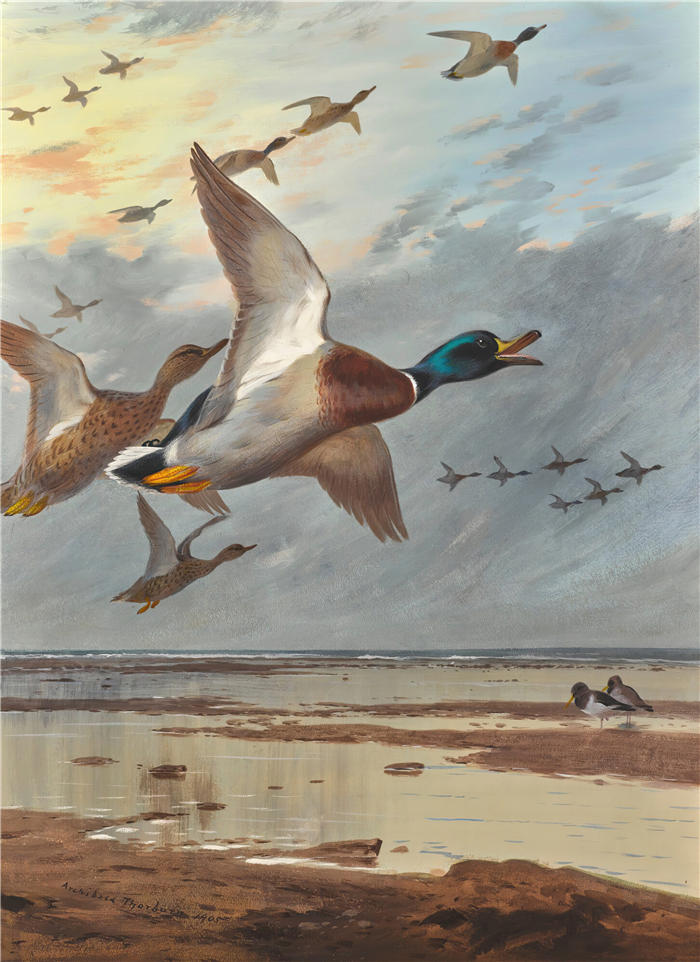 阿奇博尔德·索伯恩(Archibald Thorburn,苏格兰画家)高清作品-《从海进来 (1905)》