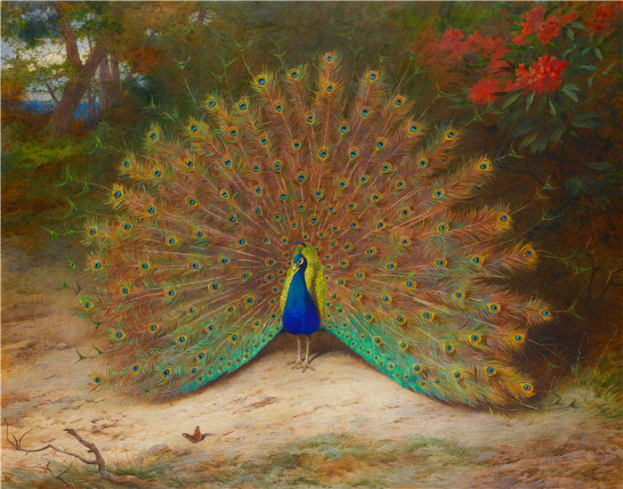 阿奇博尔德·索伯恩（Archibald Thorburn，苏格兰画家）高清作品-《孔雀和孔雀蝴蝶》