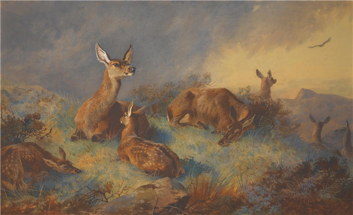 阿奇博尔德·索伯恩(Archibald Thorburn,苏格兰画家)高清作品-《警惕的小鹿》