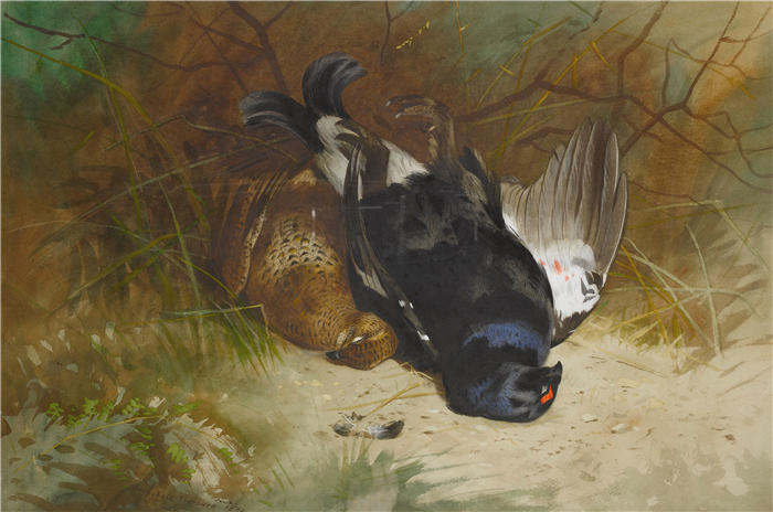 阿奇博尔德·索伯恩(Archibald Thorburn,苏格兰画家)高清作品-《一对 Blackgame 的静物画 (1896)》
