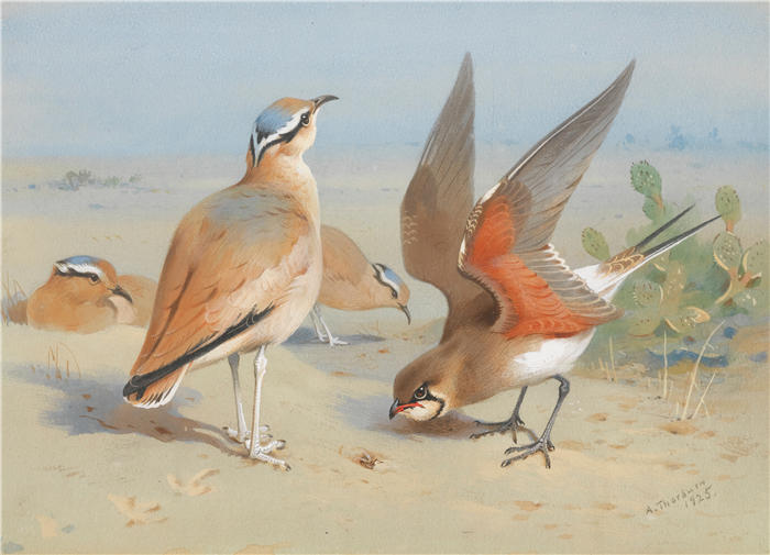 阿奇博尔德·索伯恩(Archibald Thorburn,苏格兰画家)高清作品-《奶油色骏马和普拉廷科尔 (1925)》