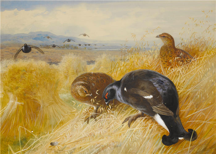阿奇博尔德·索伯恩（Archibald Thorburn，苏格兰画家）高清作品-《铁柱上，Blackgame (1902)》