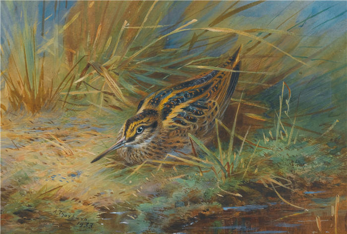 阿奇博尔德·索伯恩(Archibald Thorburn,苏格兰画家)高清作品-《杰克·斯奈普 (1933)》