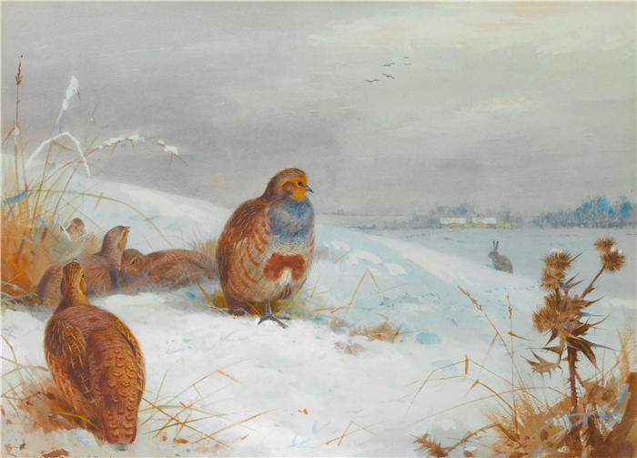 阿奇博尔德·索伯恩（Archibald Thorburn，苏格兰画家）高清作品-《艰难时期——鹧鸪和野兔（1892）》