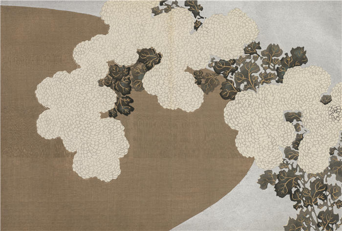 神坂雪佳(Kamisaka Sekka,日本画家)高清作品-《菊花(桃代草)(1909-1910)》