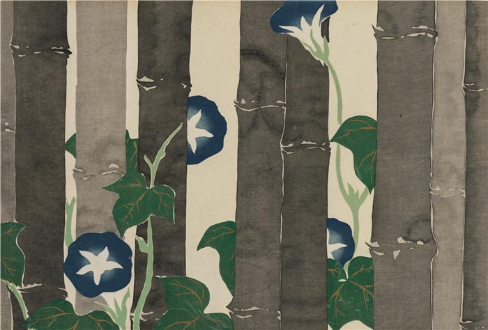 神坂雪佳(Kamisaka Sekka，日本画家)高清作品-《牵牛花 (Asagao) (1909-1910)》