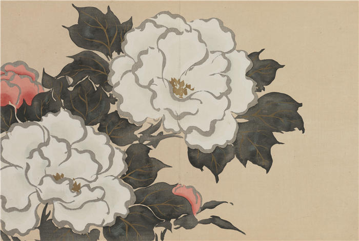 神坂雪佳(Kamisaka Sekka，日本画家)高清作品-《牡丹（深草）（1909-1910）》