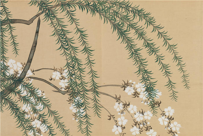 神坂雪佳(Kamisaka Sekka,日本画家)高清作品-《柳与樱桃(柳樱)(1909-1910)》
