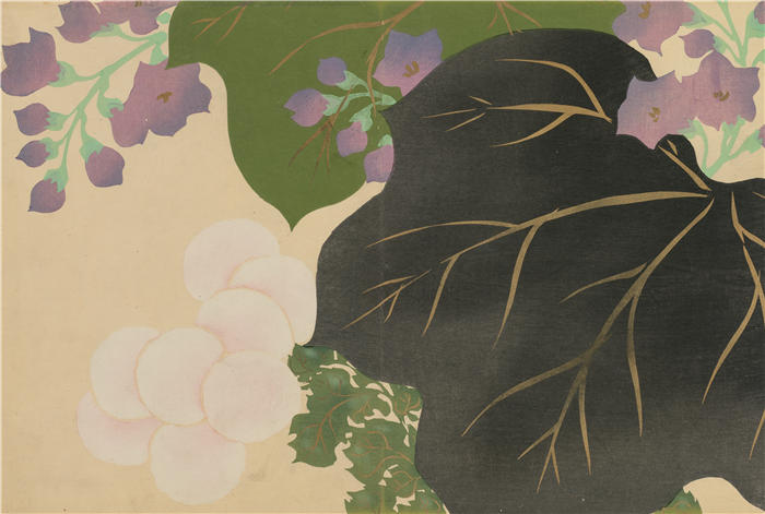 神坂雪佳(Kamisaka Sekka,日本画家)高清作品-《菊花和泡桐 (Kikukiri) (1909-1910)》