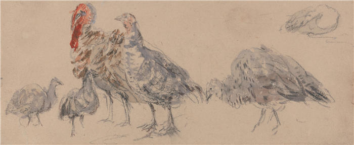 大卫·考克斯（David Cox，英国画家）高清作品-《火鸡研究（1840 年代）》