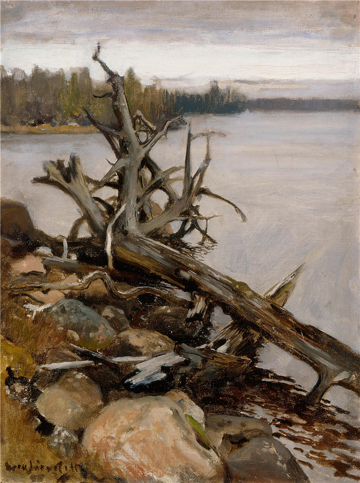 埃罗·杰内费尔特（Eero Järnefelt，芬兰画家）高清作品-《水中的死松 (1898)》