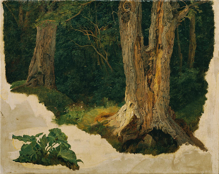 费迪南德·乔治·沃尔德米勒(Ferdinand Georg Waldmuller,奥地利画家)作品–树木研究(1848年以前)