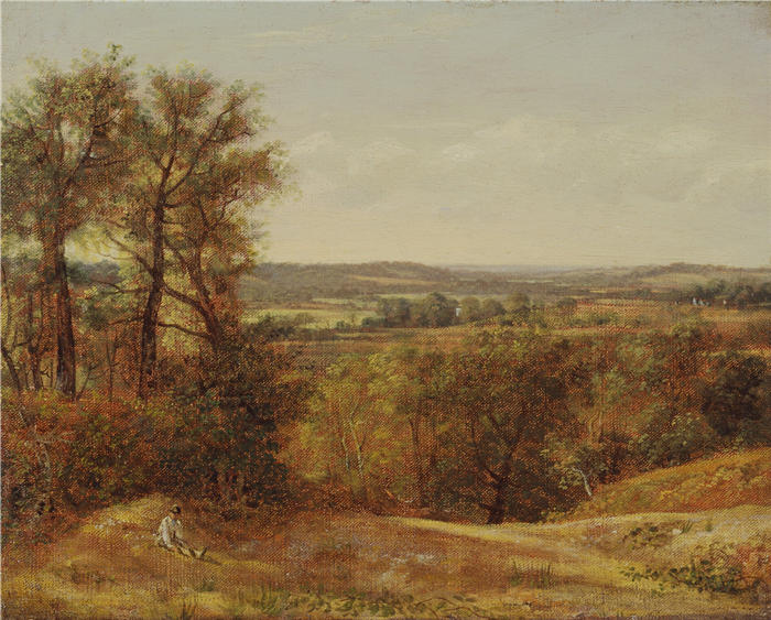 约翰·康斯特布尔(John Constable,英国画家)高清作品-《戴德姆谷 (1802)》