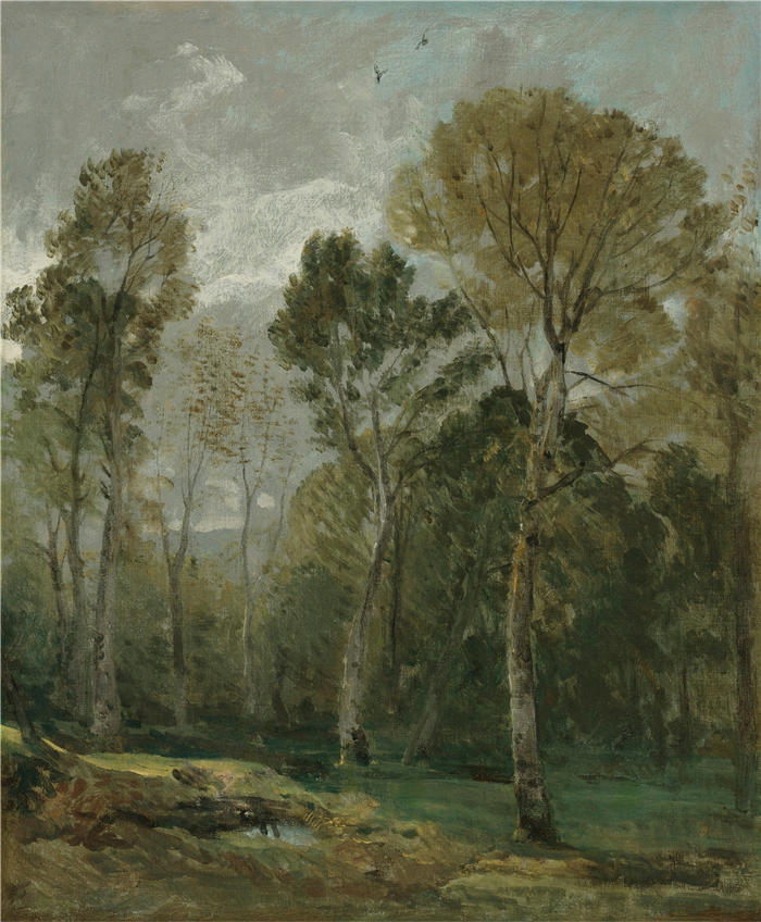 约翰·康斯特布尔(John Constable,英国画家)高清作品-《一棵树的看法》