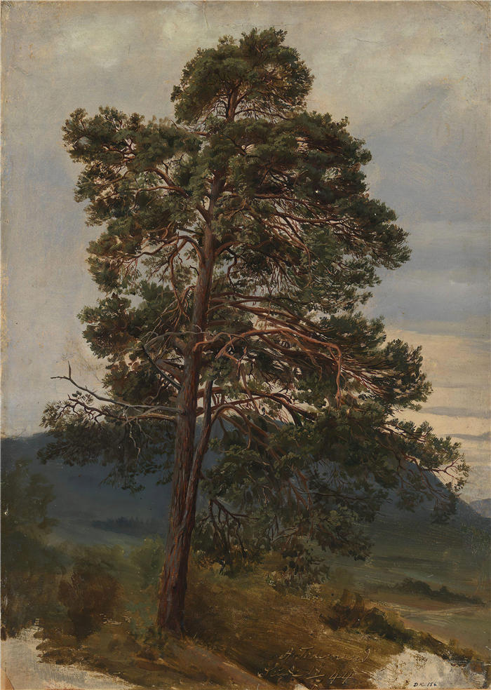 阿道夫·泰德曼（ Adolph Tidemand，挪威画家）高清作品-《松树研究（1844 年）》