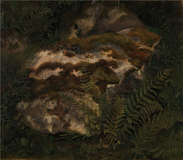 阿道夫·泰德曼（ Adolph Tidemand，挪威画家）高清作品-《苔藓覆盖的石头和蕨类植物的研究（1830 年）》