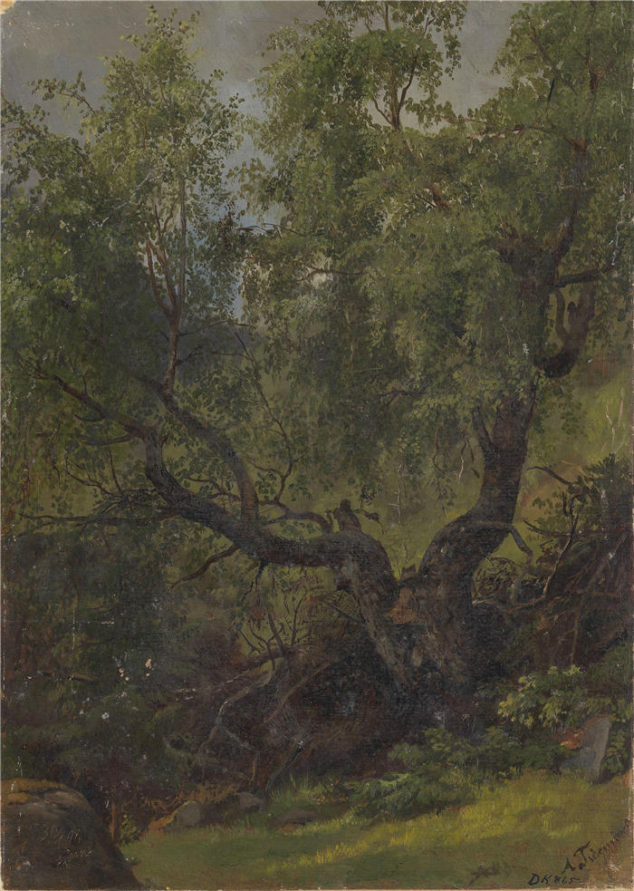 阿道夫·泰德曼（ Adolph Tidemand，挪威画家）高清作品-《Numedal 的森林研究（1848 年）》