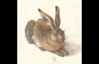 前500幅世界名画-丢勒 《野兔》