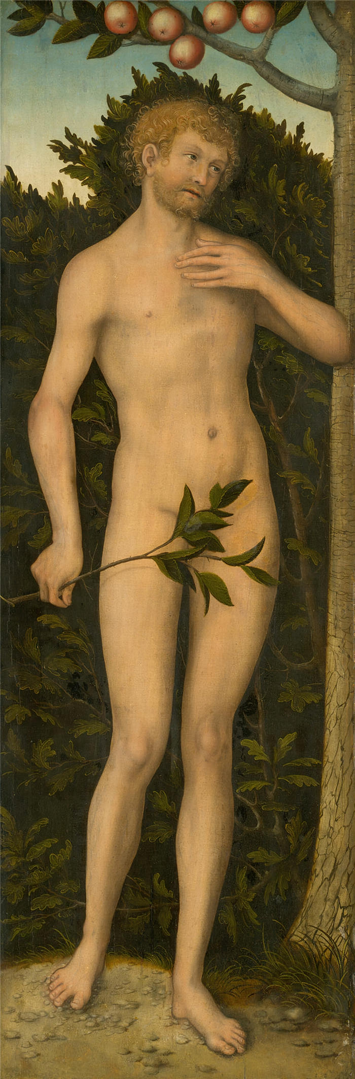 老卢卡斯·克拉纳赫(Lucas Cranach the Elder,德国画家)高清作品-《亚当 (1533-37)》