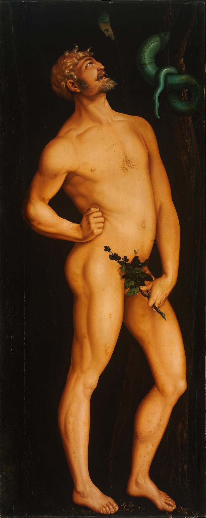 汉斯·鲍登（Hans Baldung，德国画家）高清作品-《亚当》