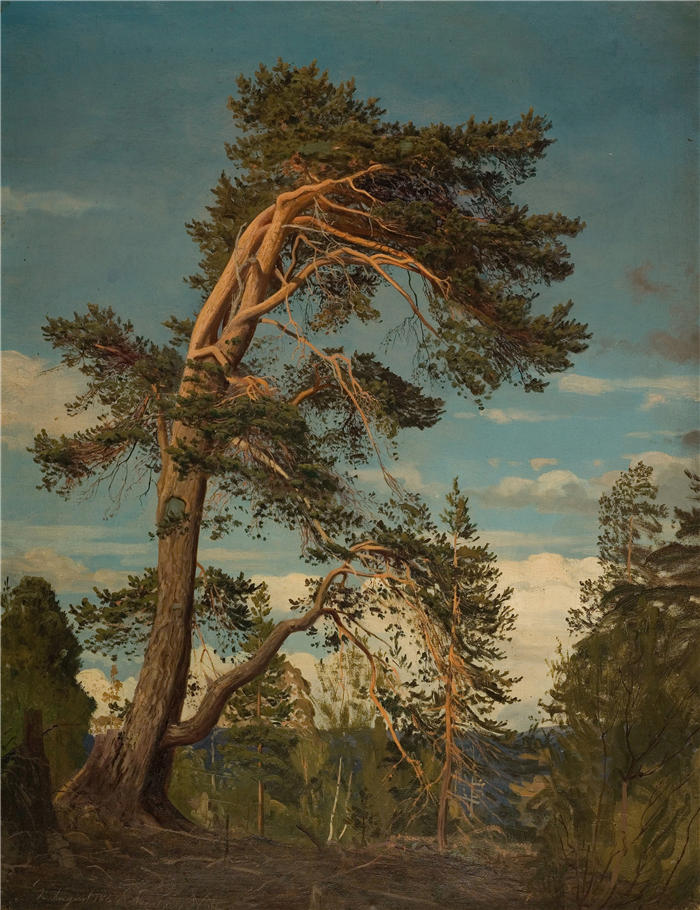 阿玛拉杜斯·尼尔森 （Amaldus Nielsen，挪威画家 ）高清作品-《塞特斯达尔（1864年）》
