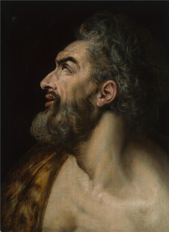 弗兰斯·弗洛里斯(Frans Floris,比利时画家)高清作品-《胡须男子的研究负责人(约 1565 年)》