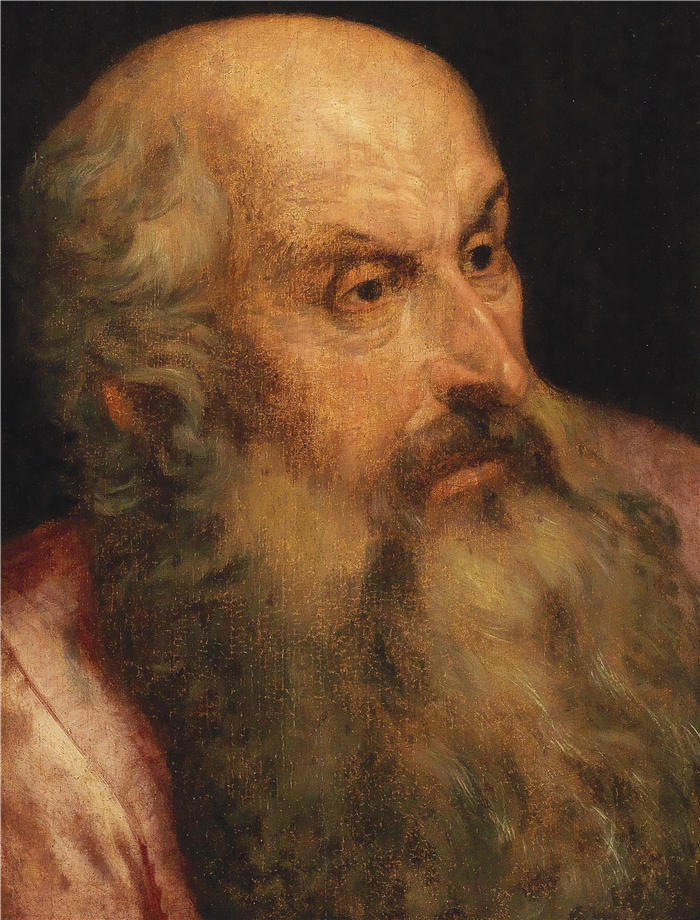 弗兰斯·弗洛里斯（Frans Floris，比利时画家）高清作品-《一个大胡子男人的研究》
