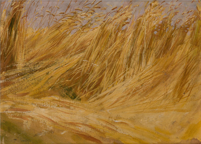 沃兹米日·泰特马耶（Włodzimierz Tetmajer，波兰画家）高清作品-《玉米地（研究）（1901）》