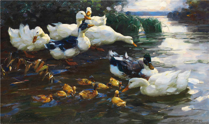 亚历山大·科斯特（Alexander Koester，德国画家）高清作品-《水中有小鸡的鸭子（1905-1910）》
